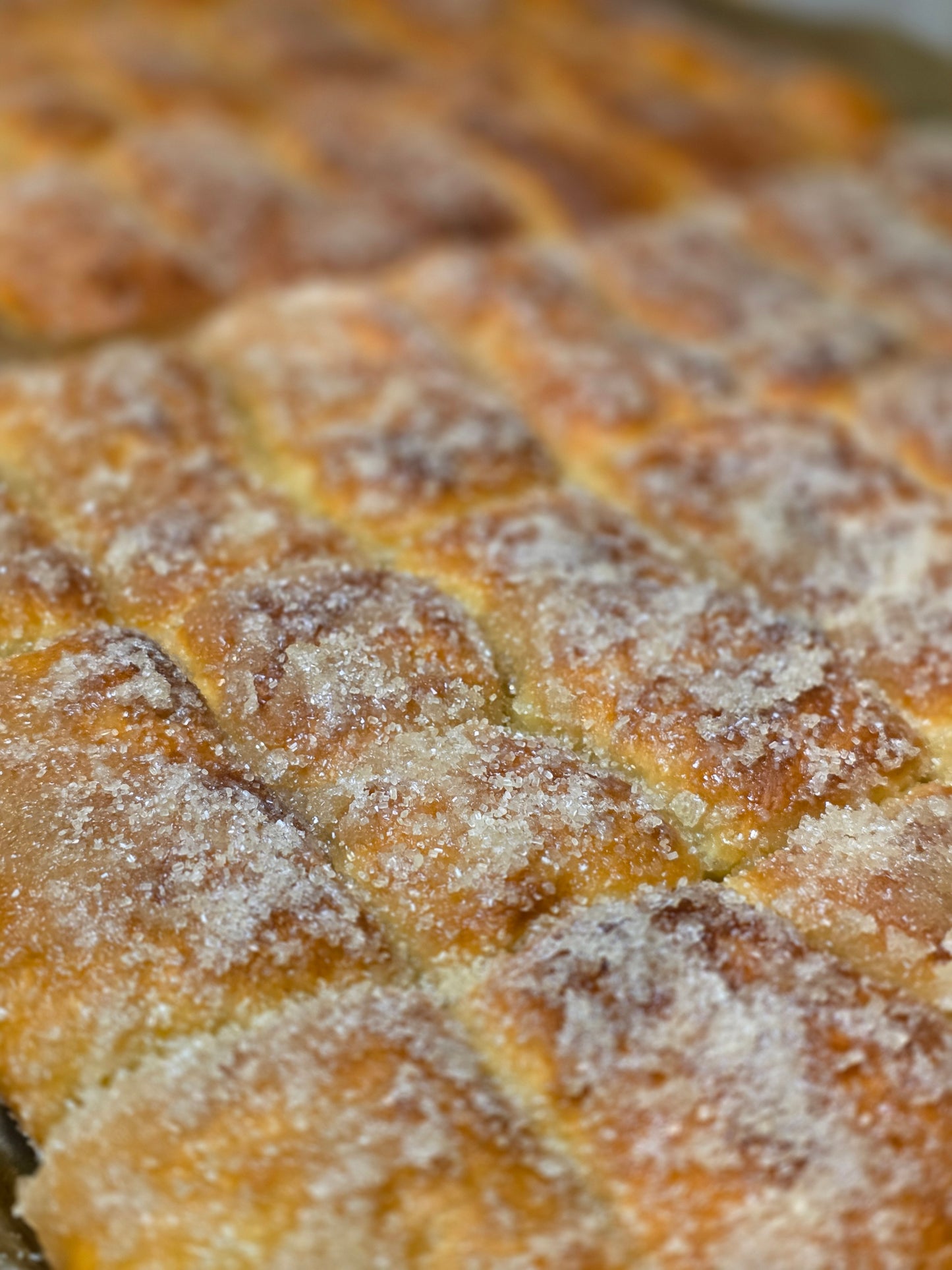 Bajan Coconut Turnovers (×6)