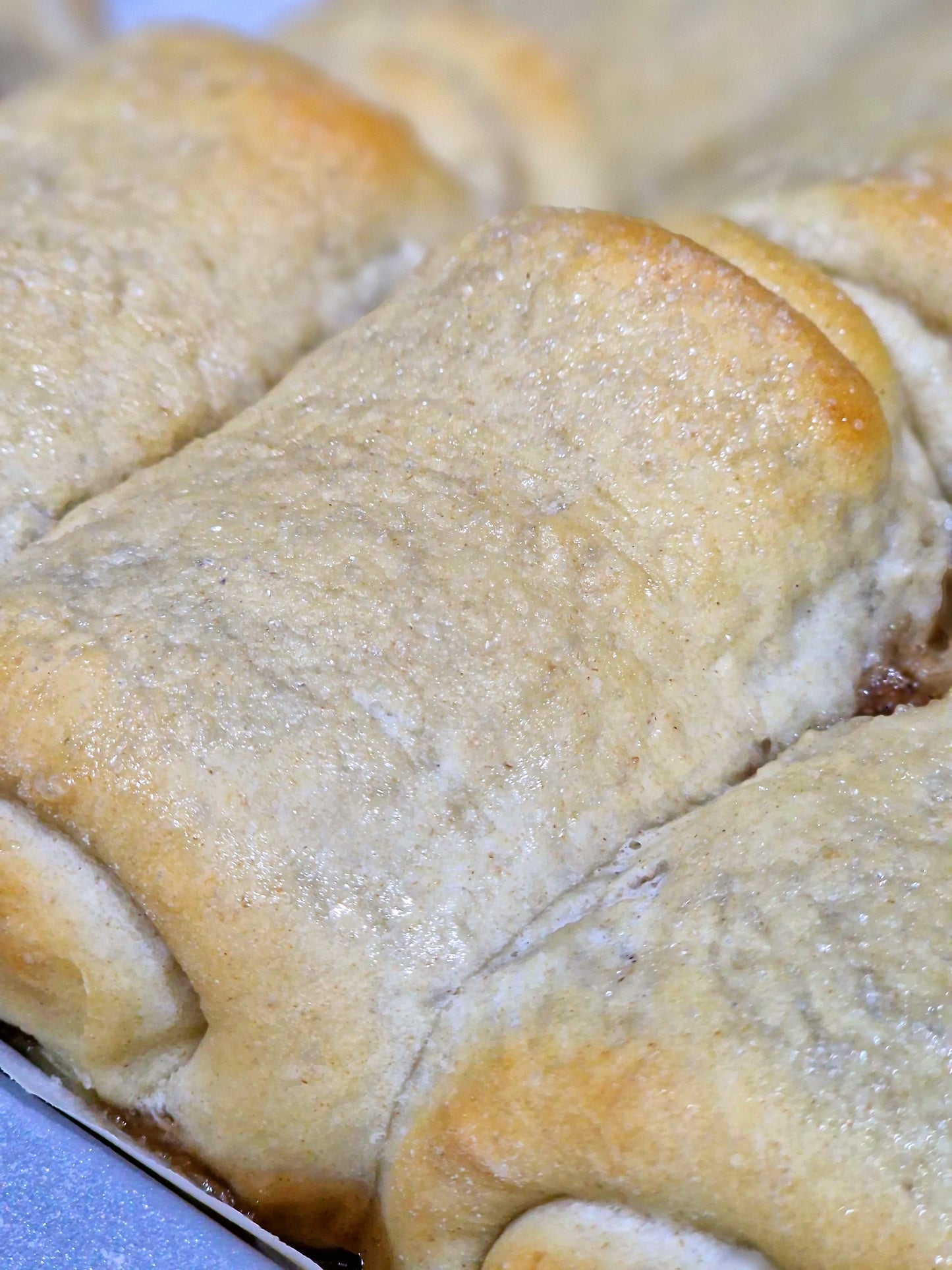 Bajan Coconut Turnovers (×6)